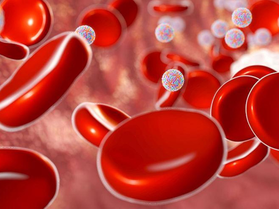 血小板：关系人体血液和健康的迷你营养物