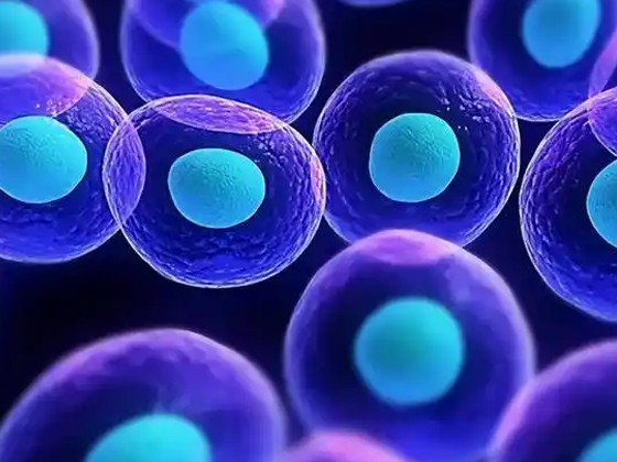 细胞：一个神奇的细胞世界