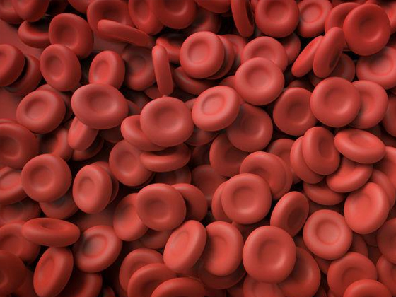 关于血小板的重要性