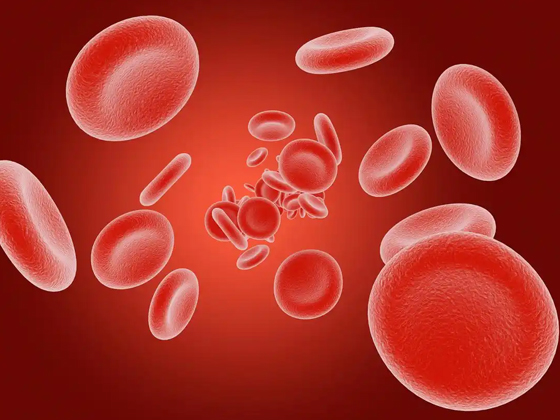 血小板的功能与重要性